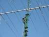 novaantena26_small.jpg