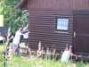 selitev117_small.jpg